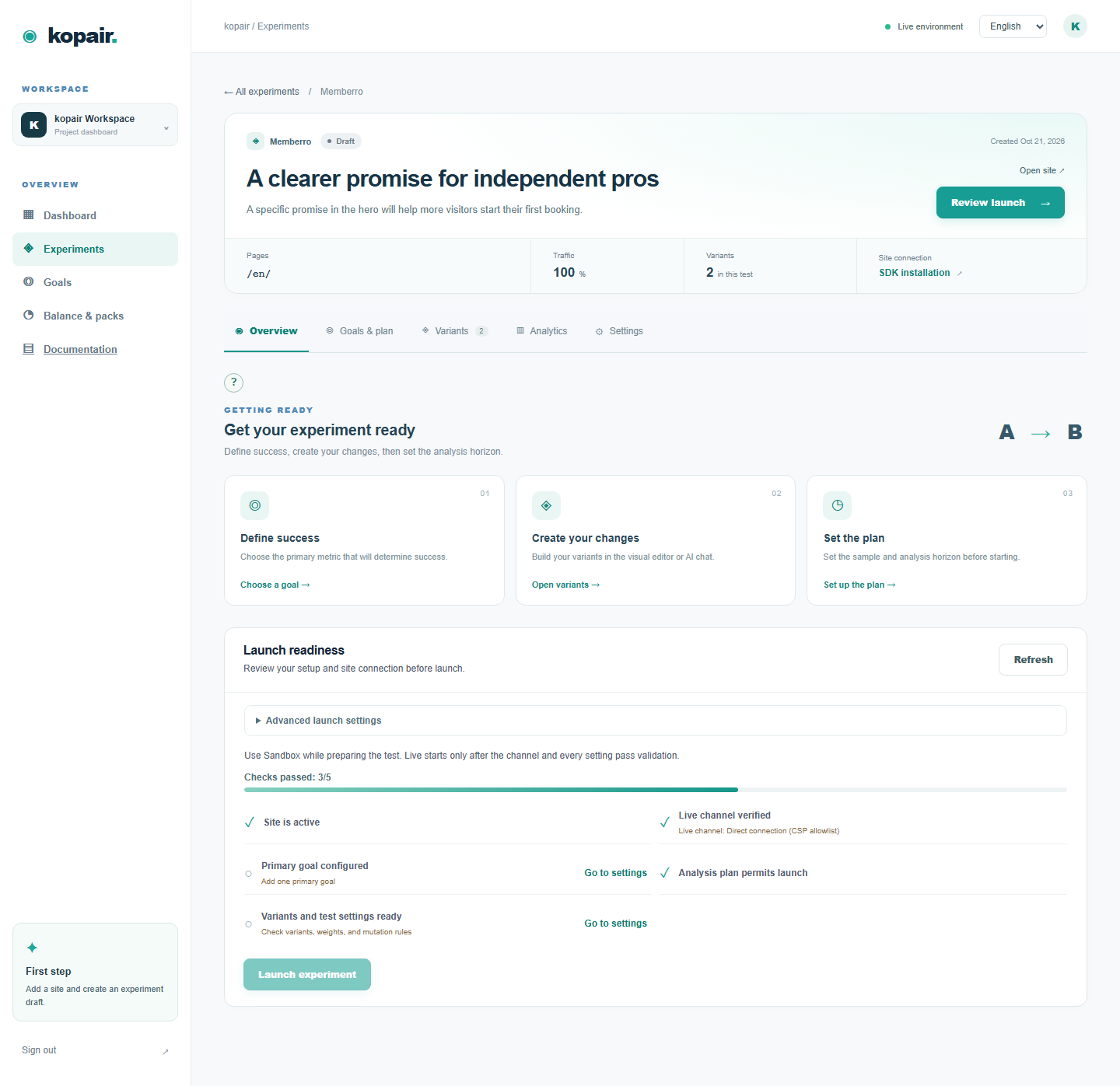 Experiment overview with tabs and launch checklist